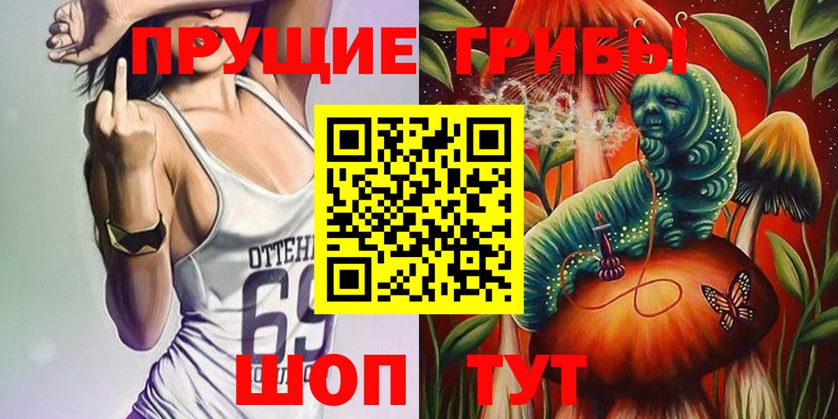 Псилоцибиновые грибы GOLDEN TEACHER Владимир