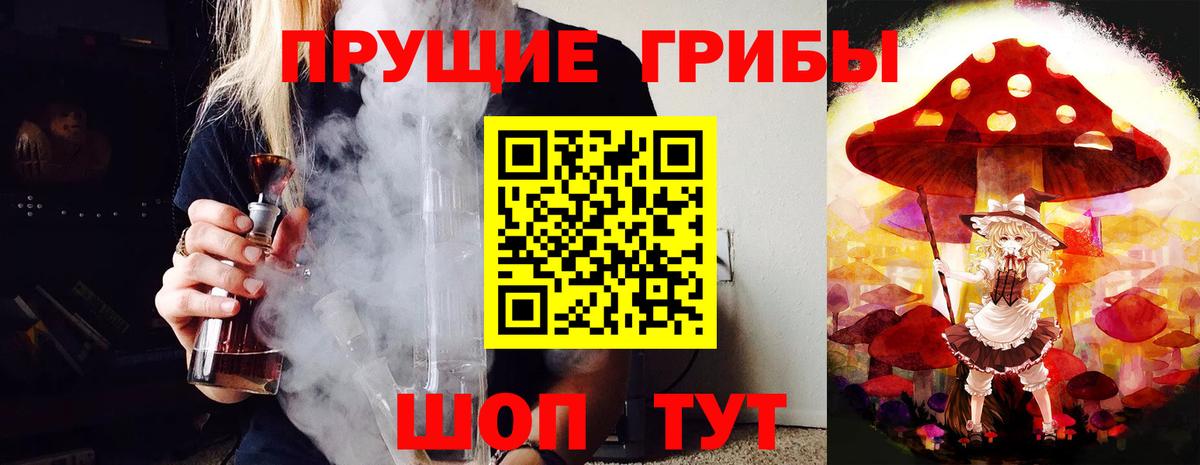 Псилоцибиновые грибы MAGIC MUSHROOMS  где купить наркоту  Владимир  Вход с VPN 