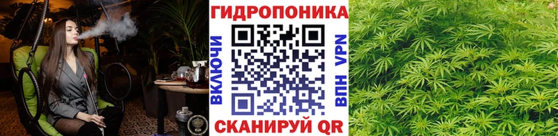 цены наркотик  Владимир  Бошки Шишки OG Kush 