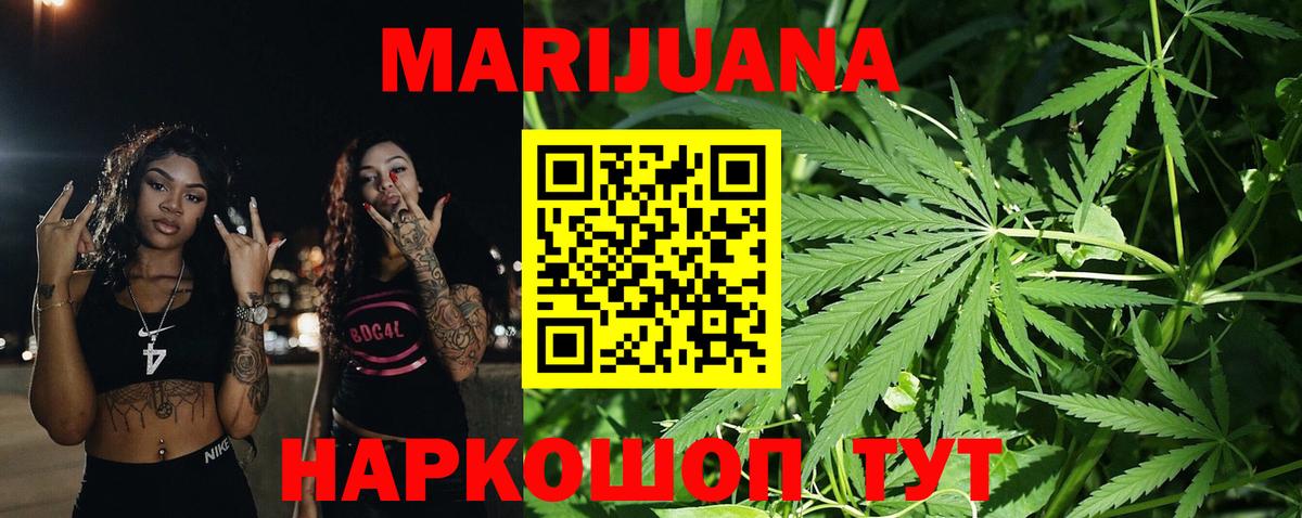 Канабис ГИДРОПОН  Конопля сатива  Владимир 